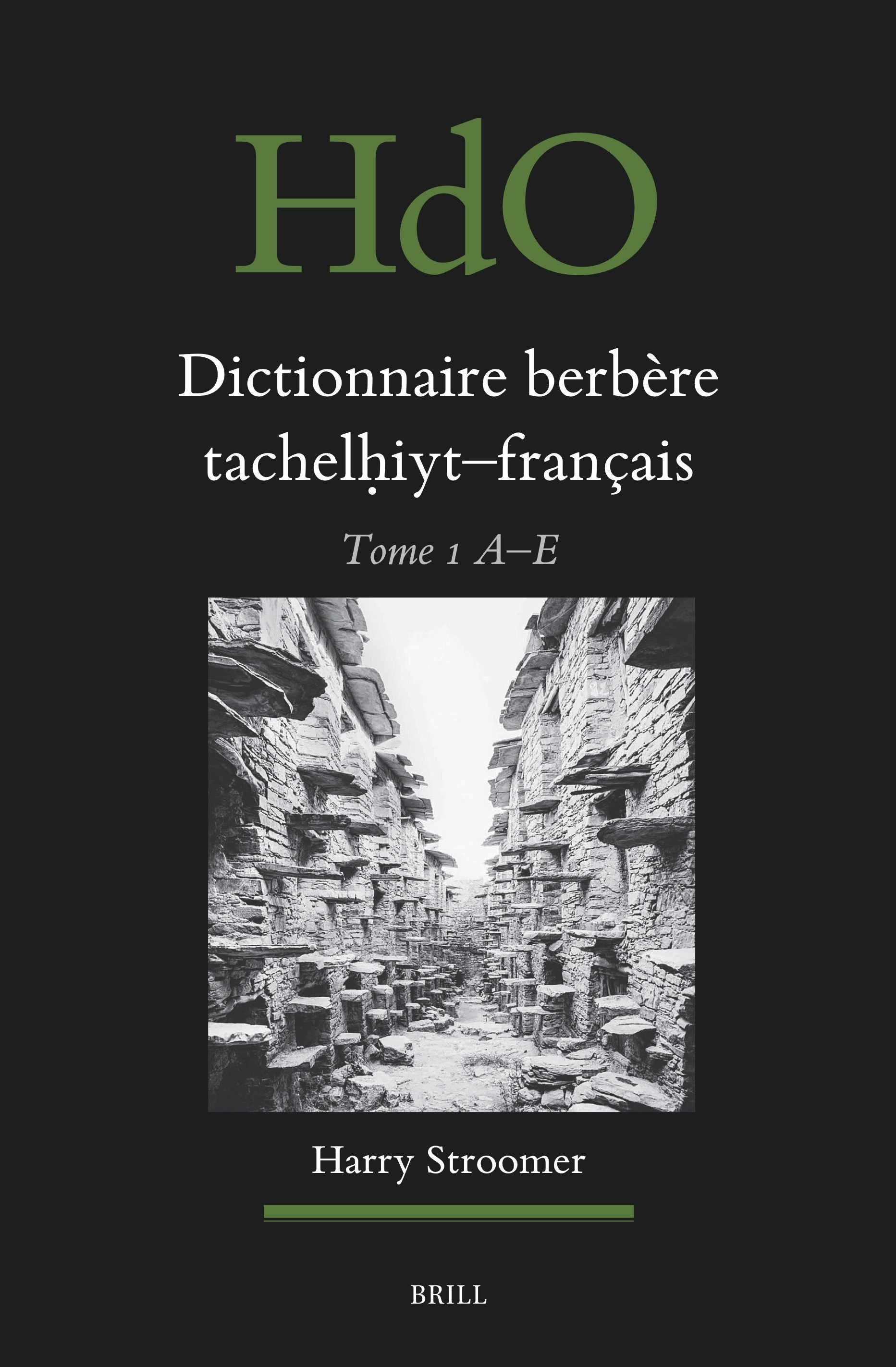 Book cover image for Dictionnaire berbère tachelḥiyt - français ISBN: 9789004700499