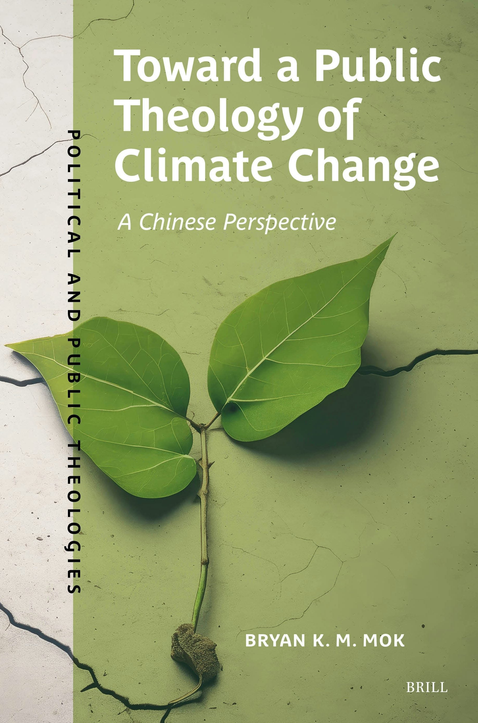 Book cover image for Toward a Public Theology of Climate Change ISBN: 9789004732001