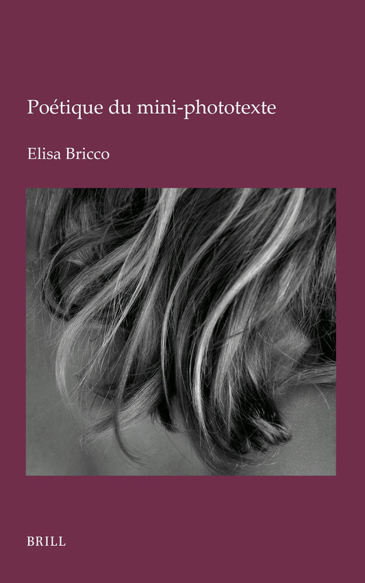 Poétique du mini-phototexte