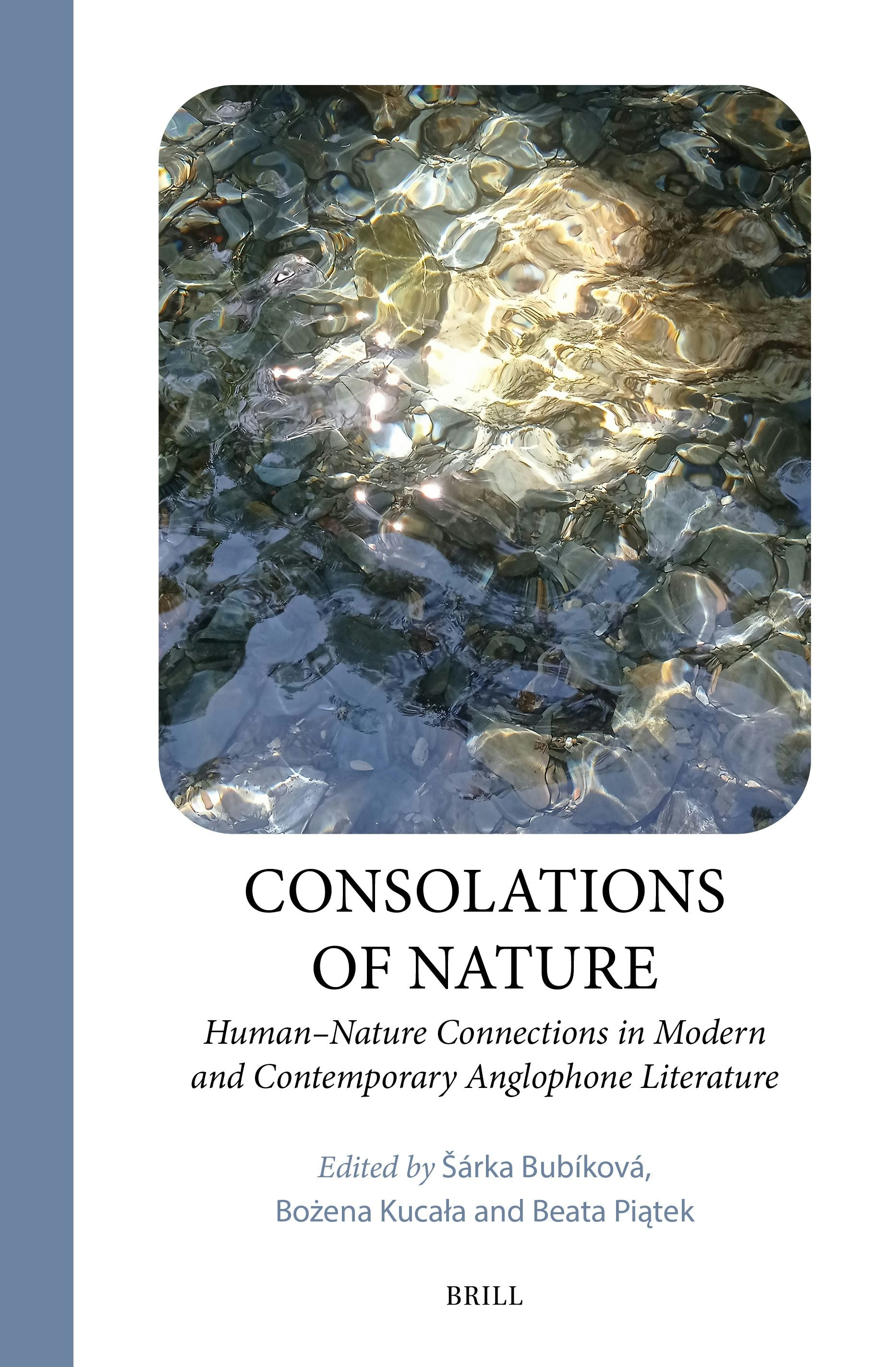 Book cover image for Consolations of Nature ISBN: 9789004744103