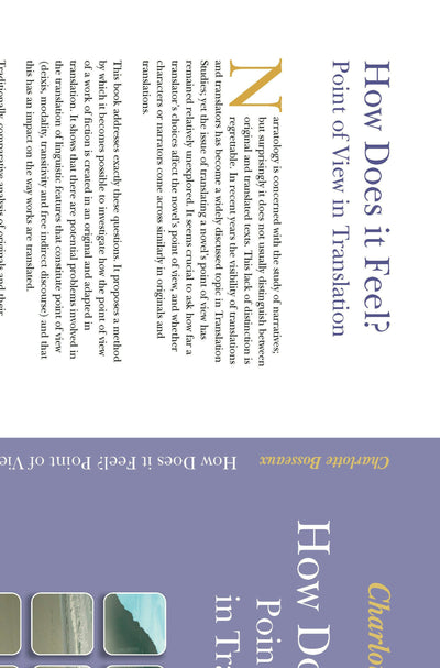 Cover image for How Does it Feel? Point of View in Translation, isbn: 9789042022027