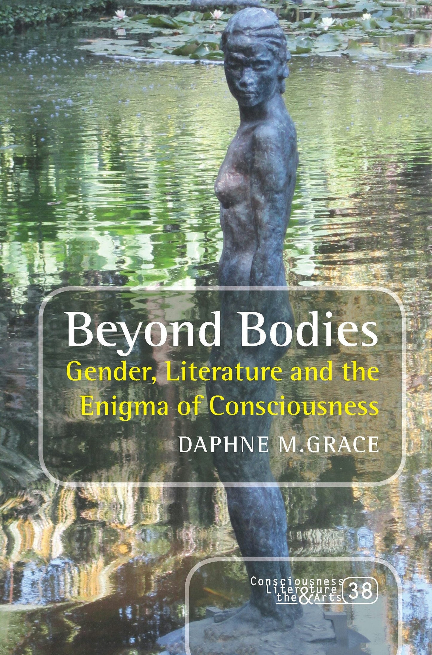 Cover image for Beyond Bodies, isbn: 9789042038349
