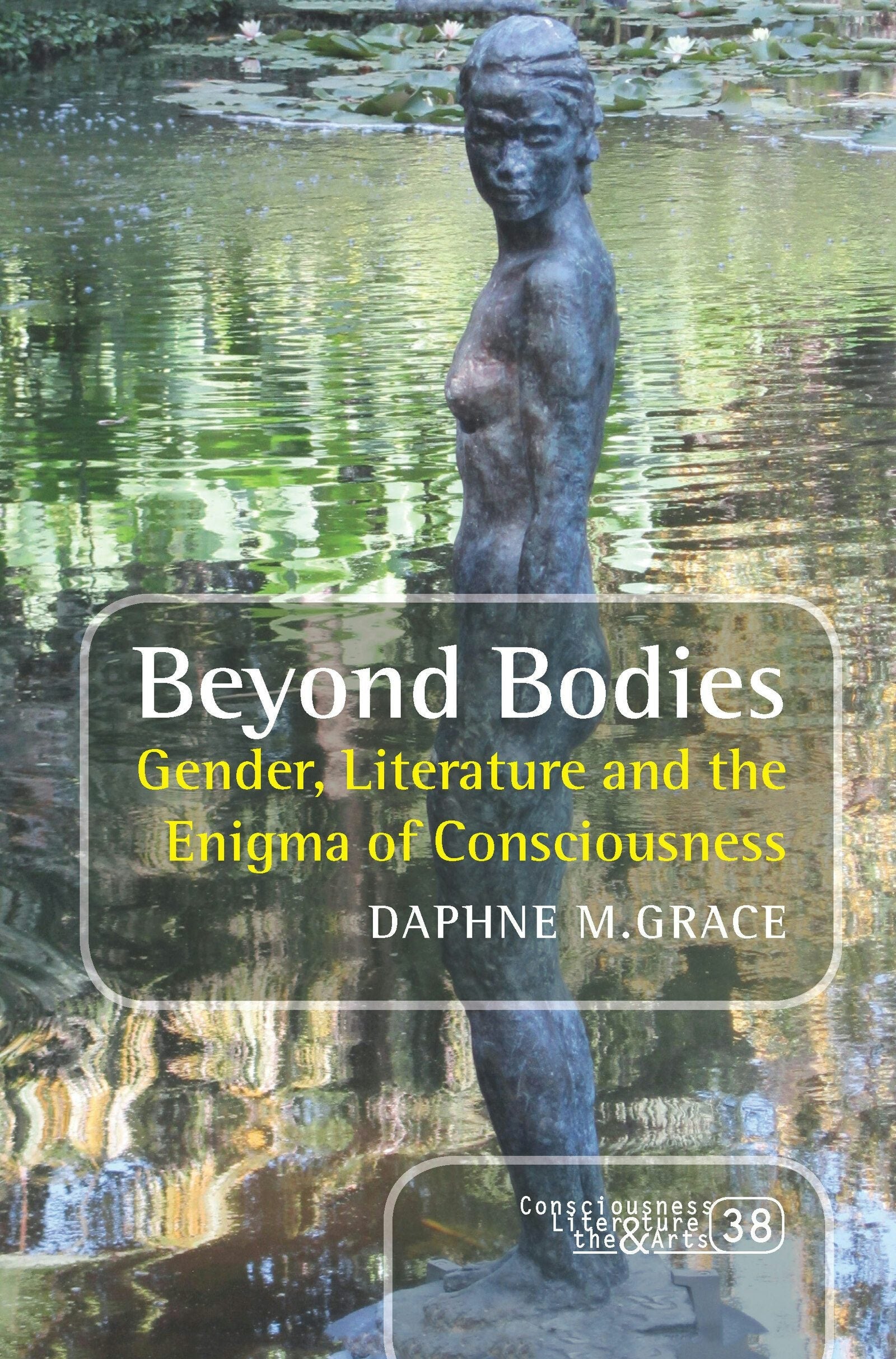 Cover image for Beyond Bodies, isbn: 9789042038349