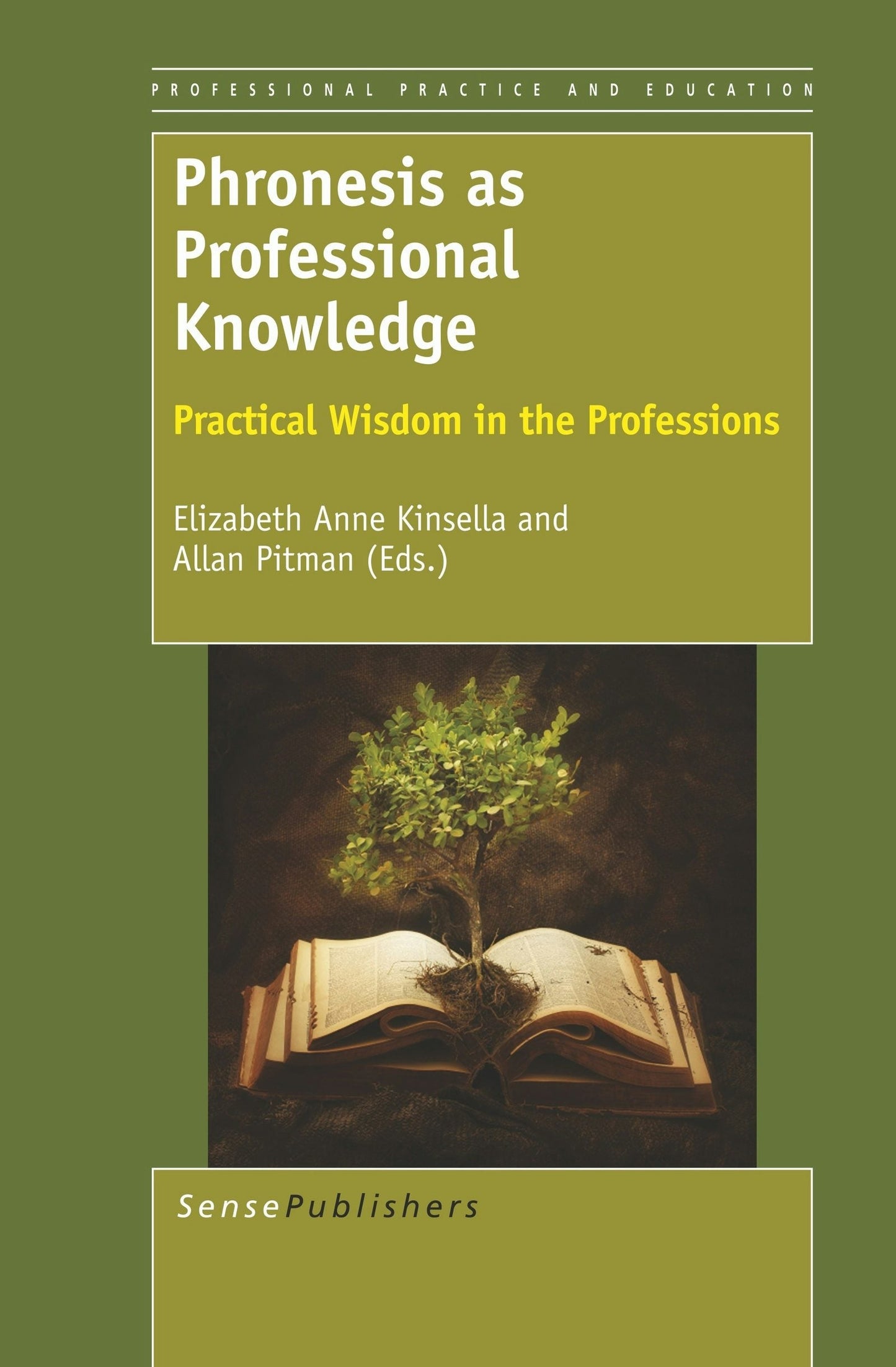 Book cover image for Phronesis as Professional Knowledge ISBN: 9789460917295