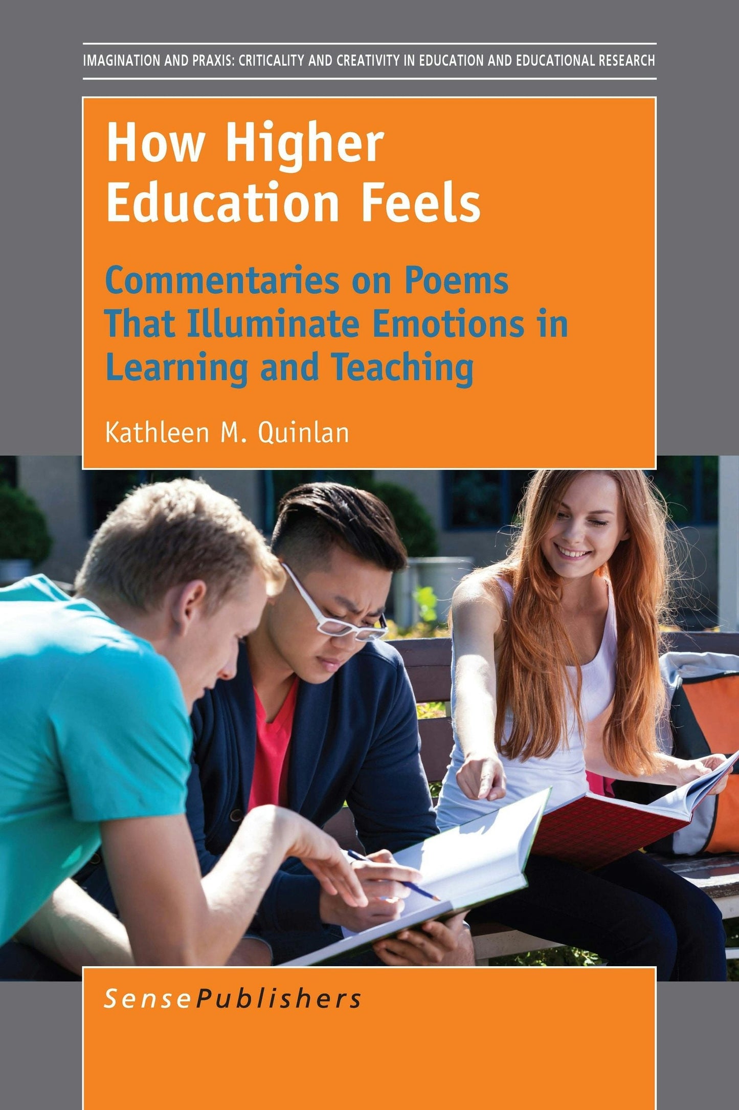 Book cover image for How Higher Education Feels ISBN: 9789463006347