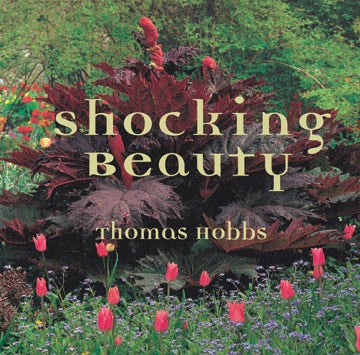 Cover image for Shocking Beauty, isbn: 9789625935423