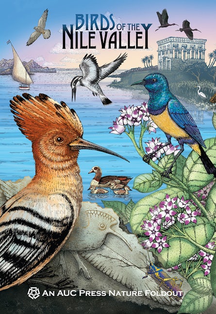 Book cover image for Birds of the Nile Valley ISBN: 9789774165795