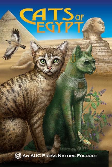 Cats of Egypt