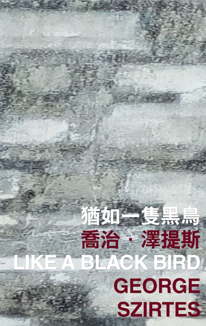 Book cover image for Like a Black Bird ISBN: 9789882370456