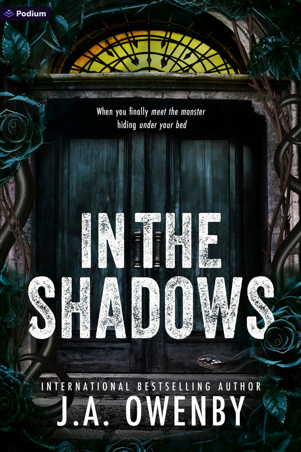 Cover image for In the Shadows, isbn: 9798347018895
