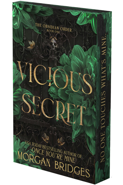 Cover image for Vicious Secret, isbn: 9798347029853