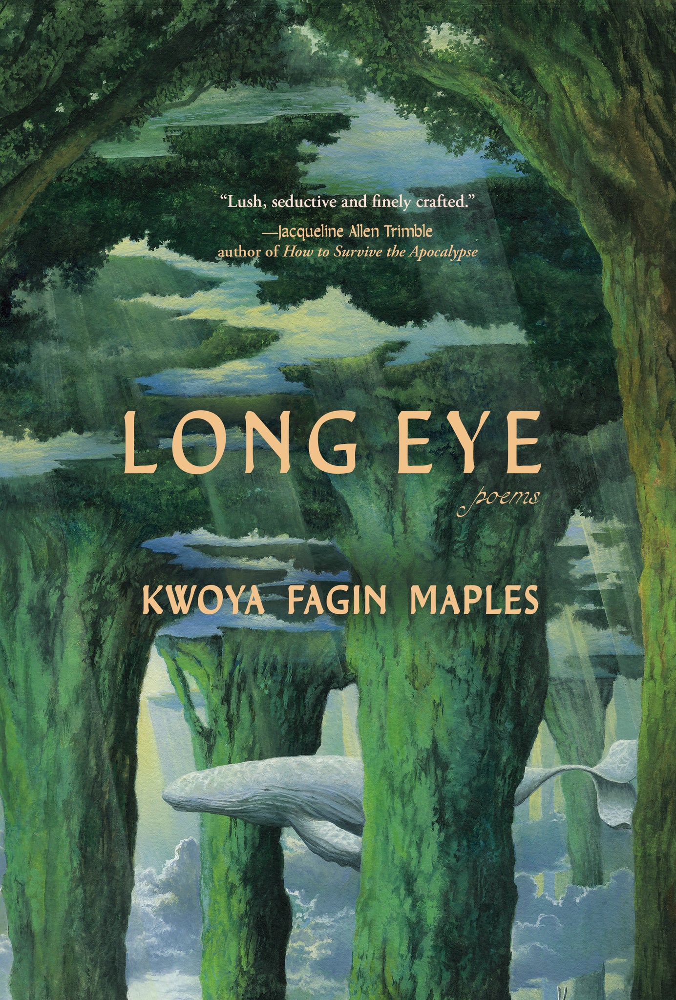 Cover image for Long Eye ISBN 9798885740715