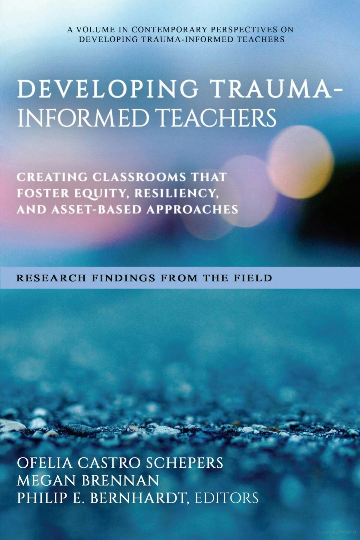 Book cover image for Developing Trauma-Informed Teachers ISBN: 9798887301075