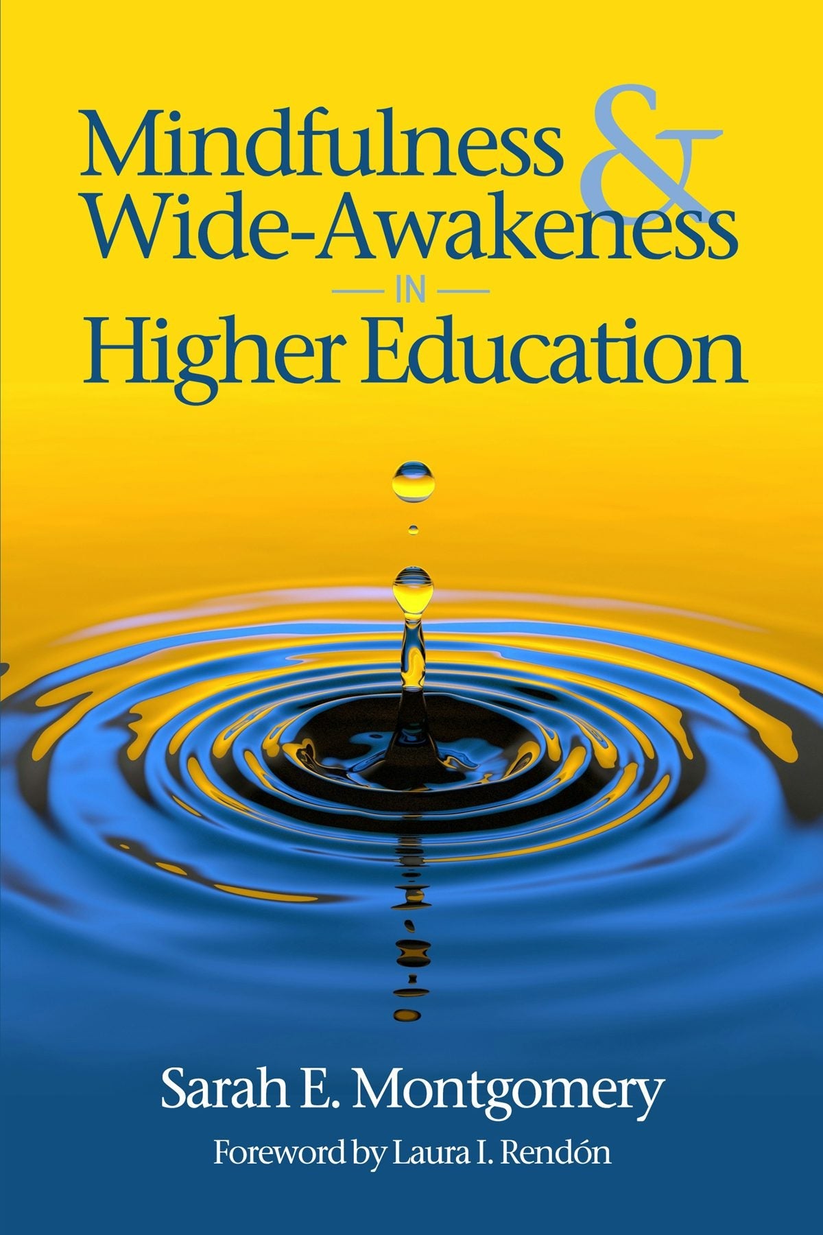 Book cover image for Mindfulness & Wide-Awakeness in Higher Education ISBN: 9798887301242