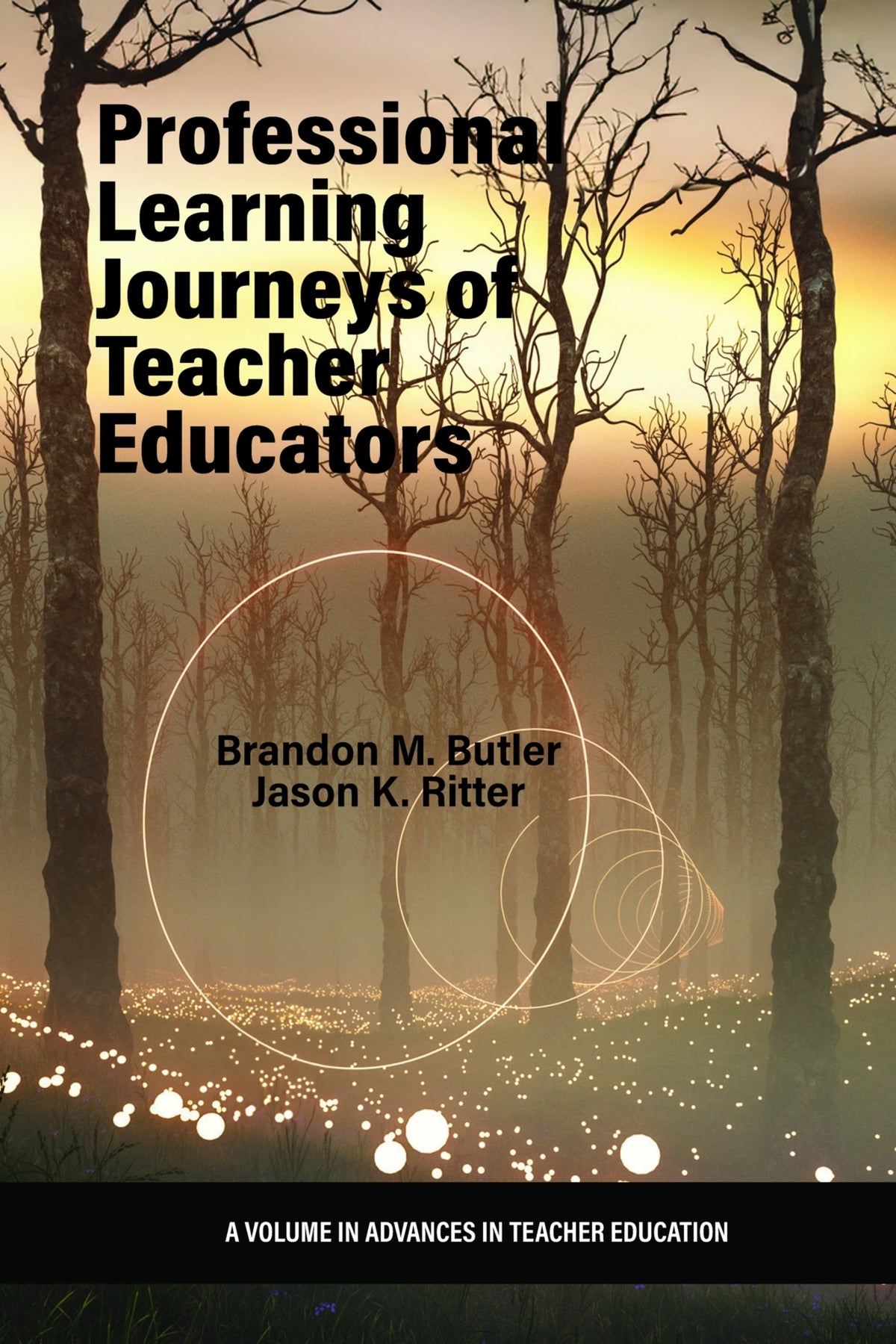 Cover image for Professional Learning Journeys of Teacher Educators ISBN 9798887304960