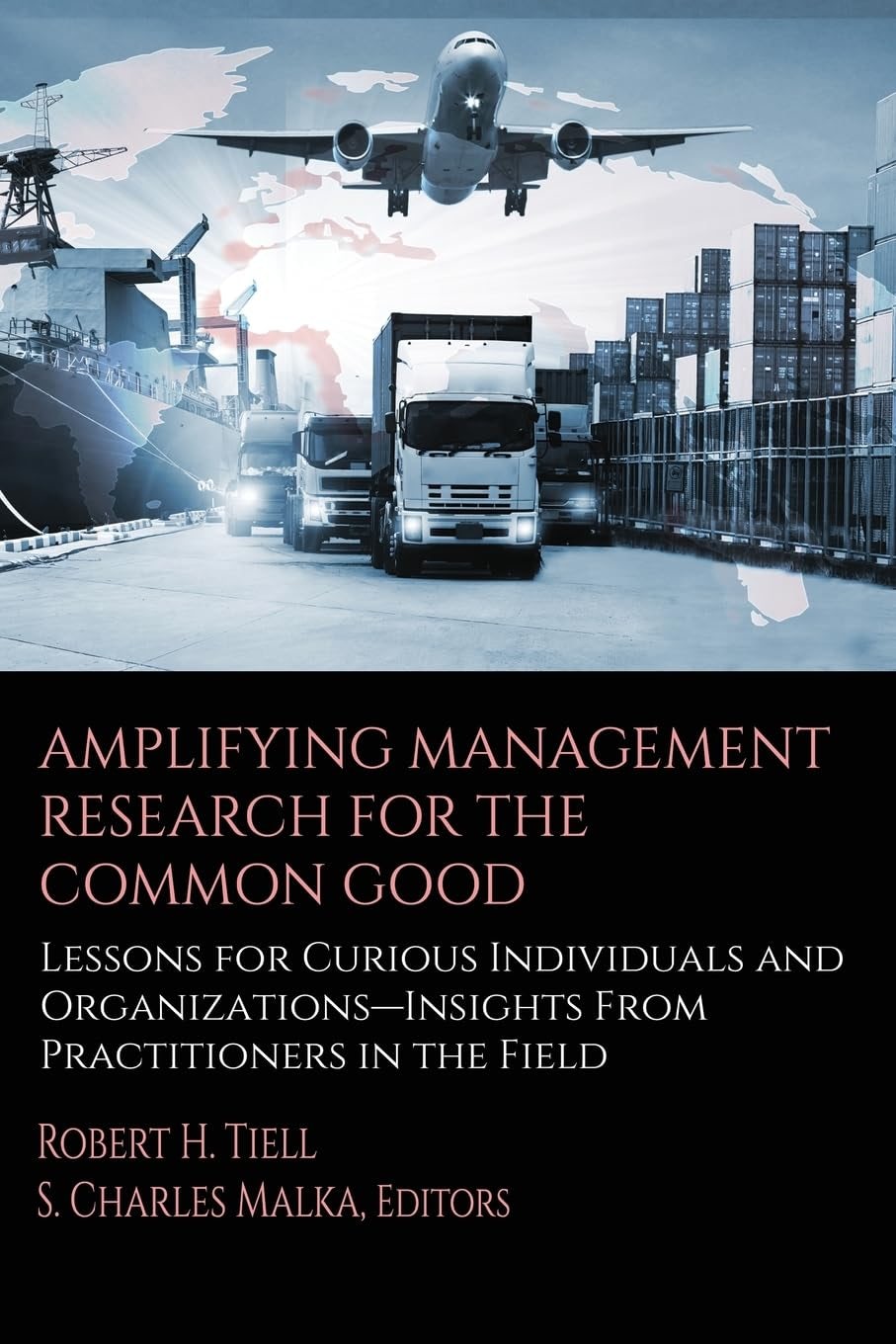 Book cover image for Amplifying Management Research for the Common Good ISBN: 9798887305271