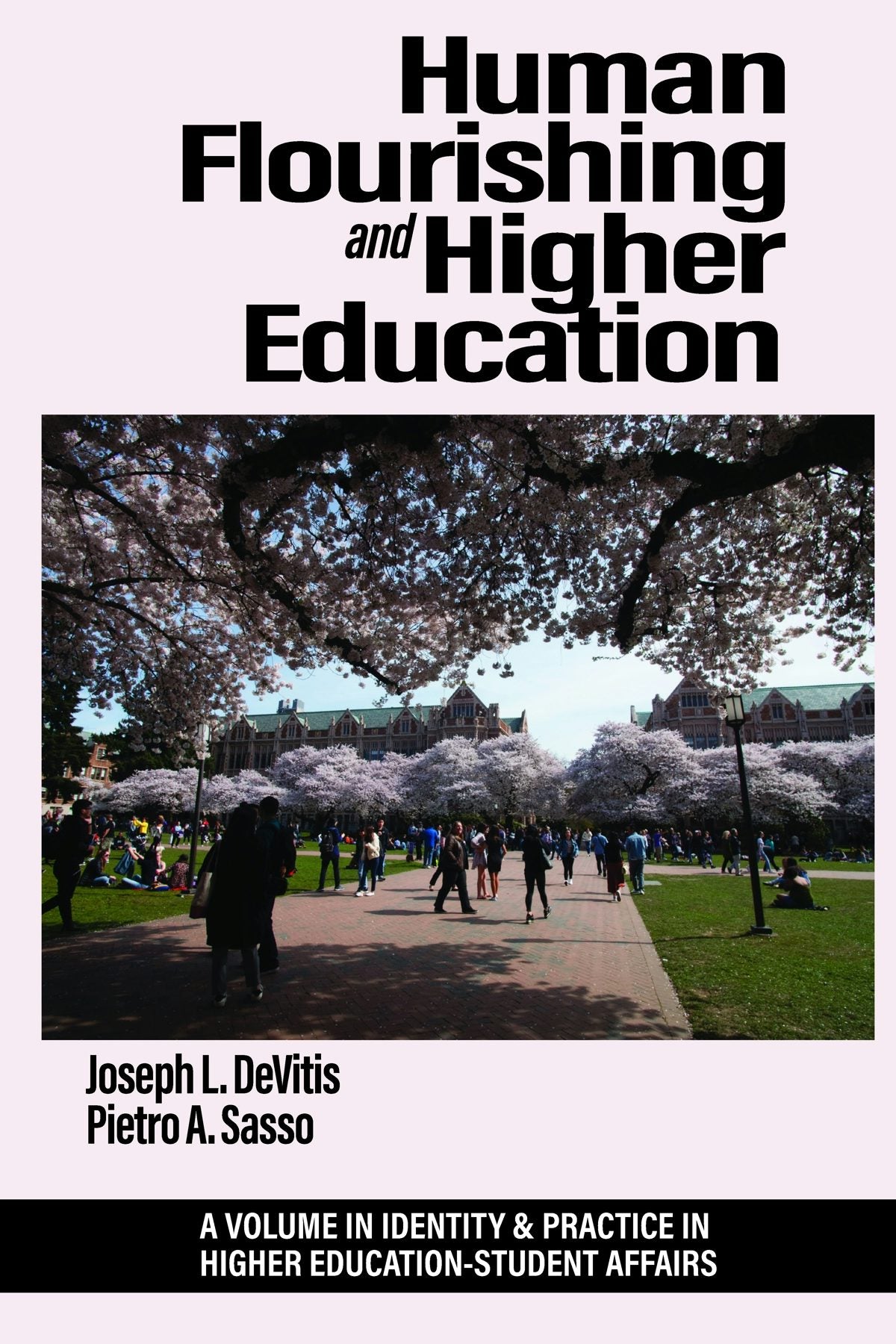 Book cover image for Human Flourishing and Higher Education ISBN: 9798887307480