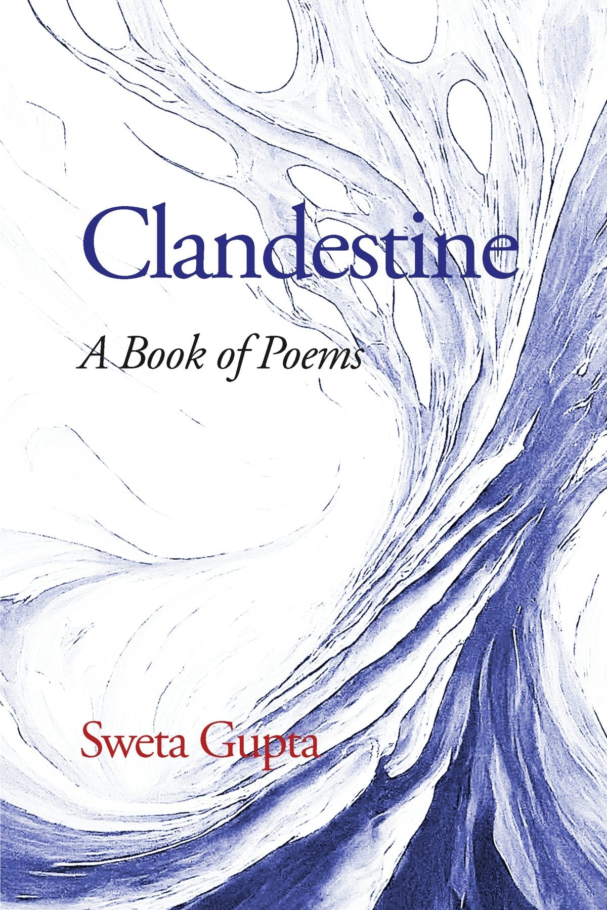 Book cover image for Clandestine ISBN: 9798887307671