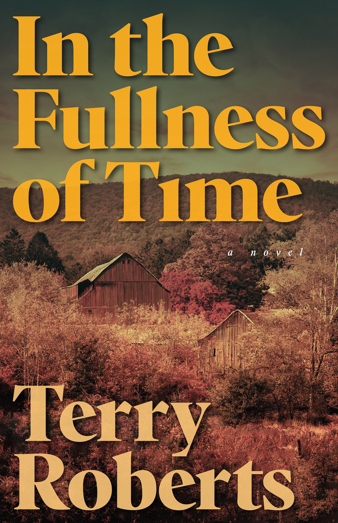 Cover image for In the Fullness of Time ISBN 9798887980577