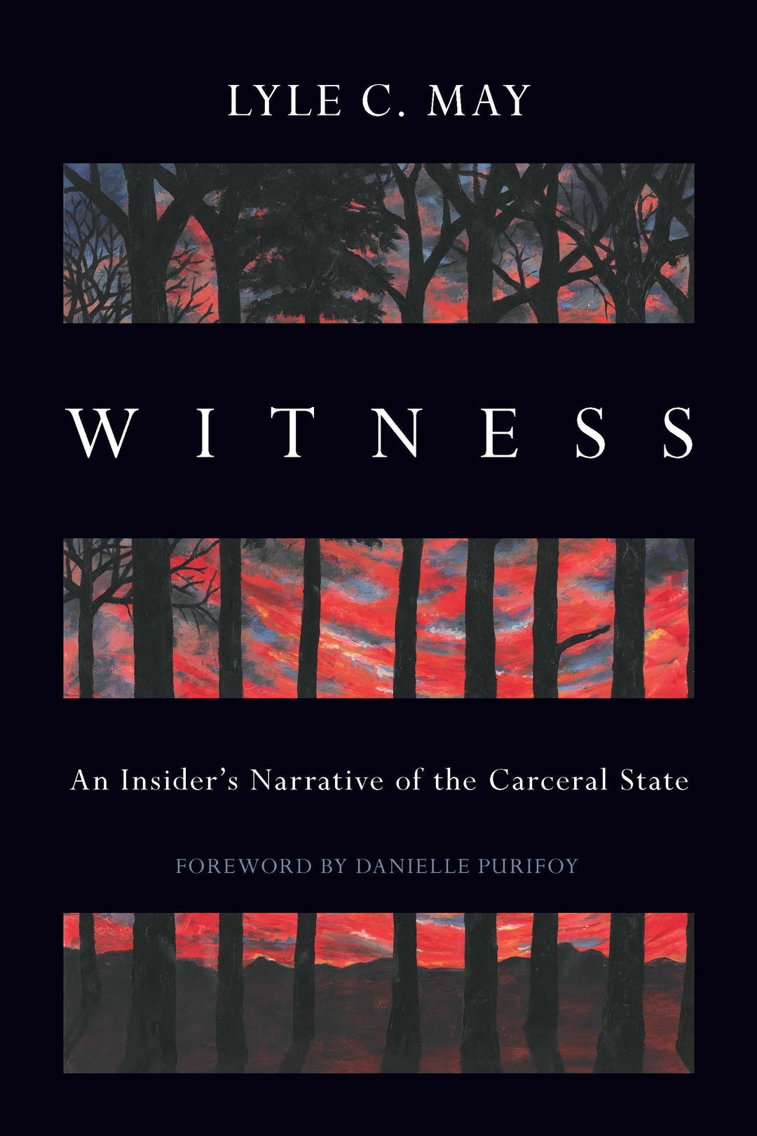 Cover image for Witness ISBN 9798888900598