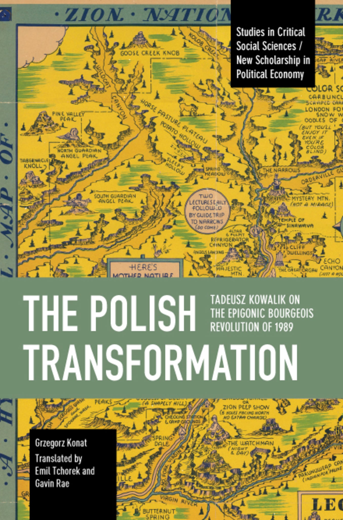 Cover image for The Polish Transformation ISBN 9798888903537