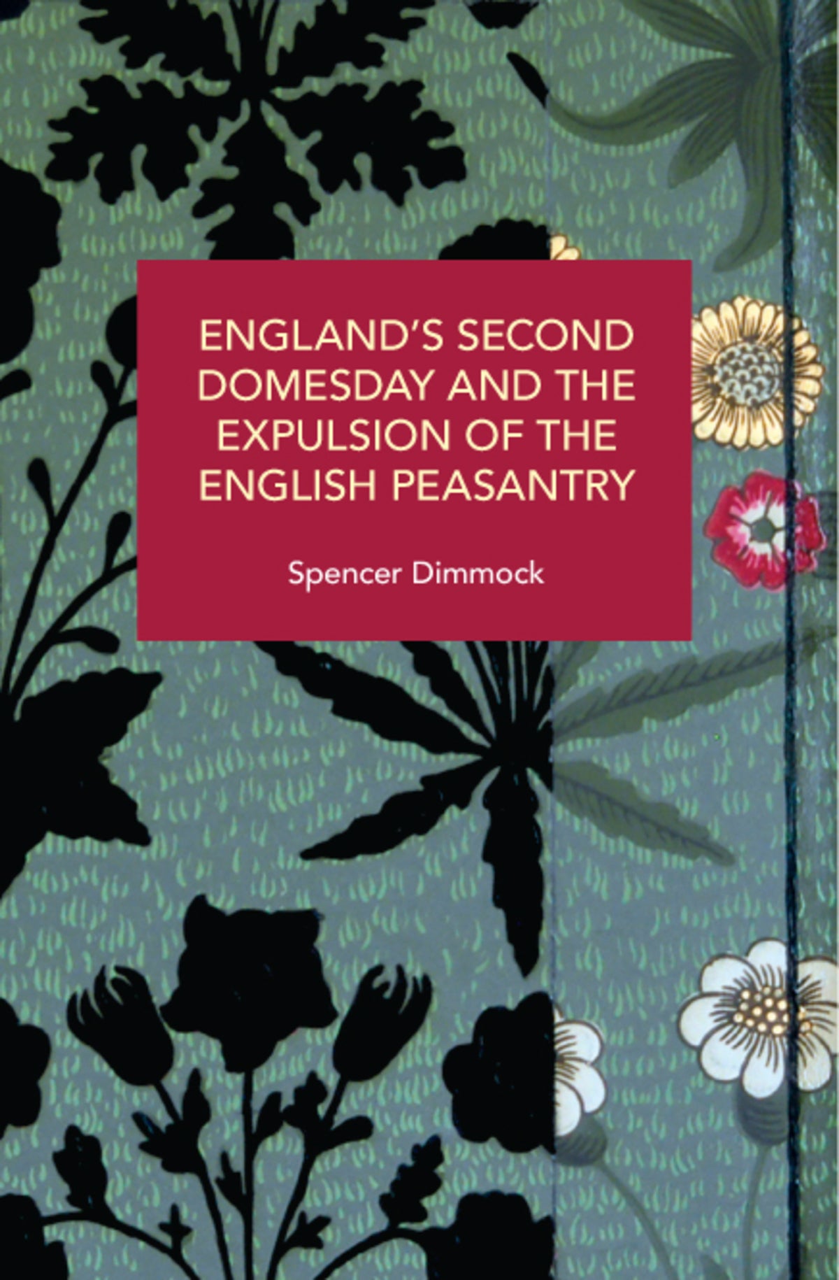 Cover image for England's Second Domesday and the Expulsion of the English Peasantry ISBN 9798888903599