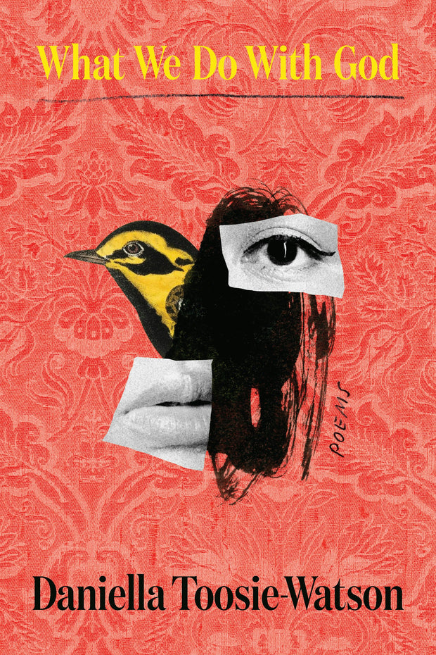 Cover image for What We Do With God, isbn: 9798888904299