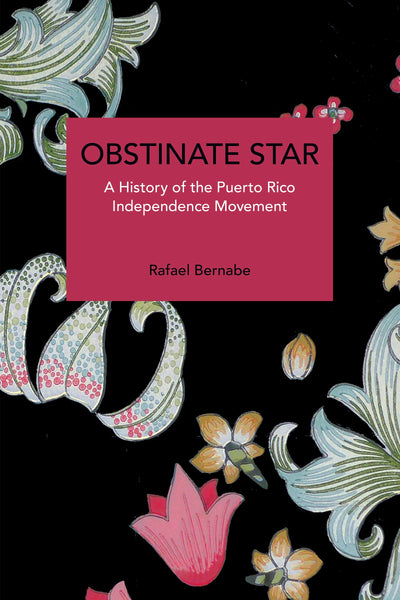 Cover image for Obstinate Star, isbn: 9798888905524