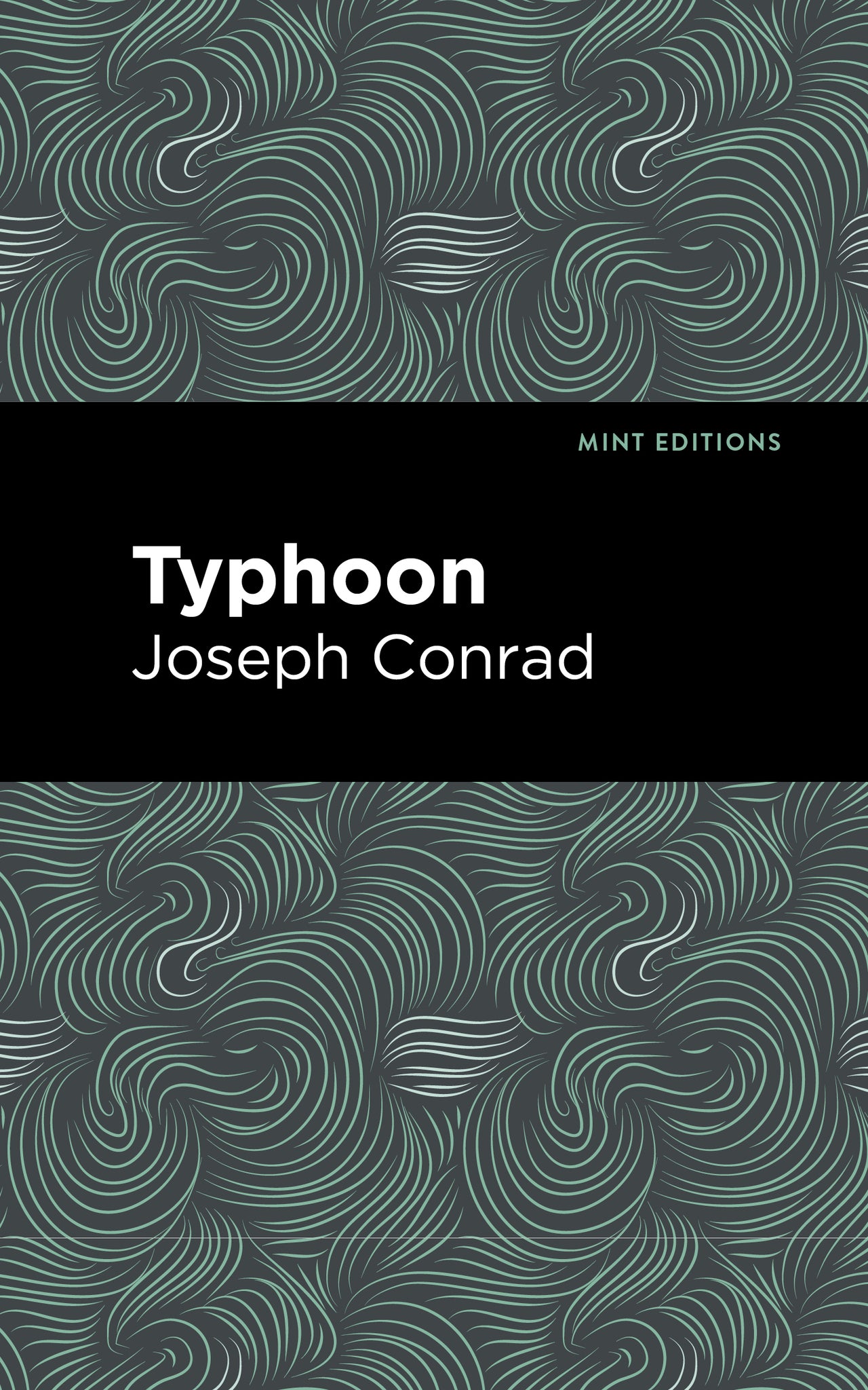 Cover image for Typhoon ISBN 9798888973424