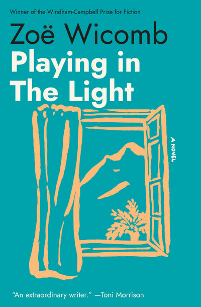 Cover image for Playing in the Light, isbn: 9798893851137