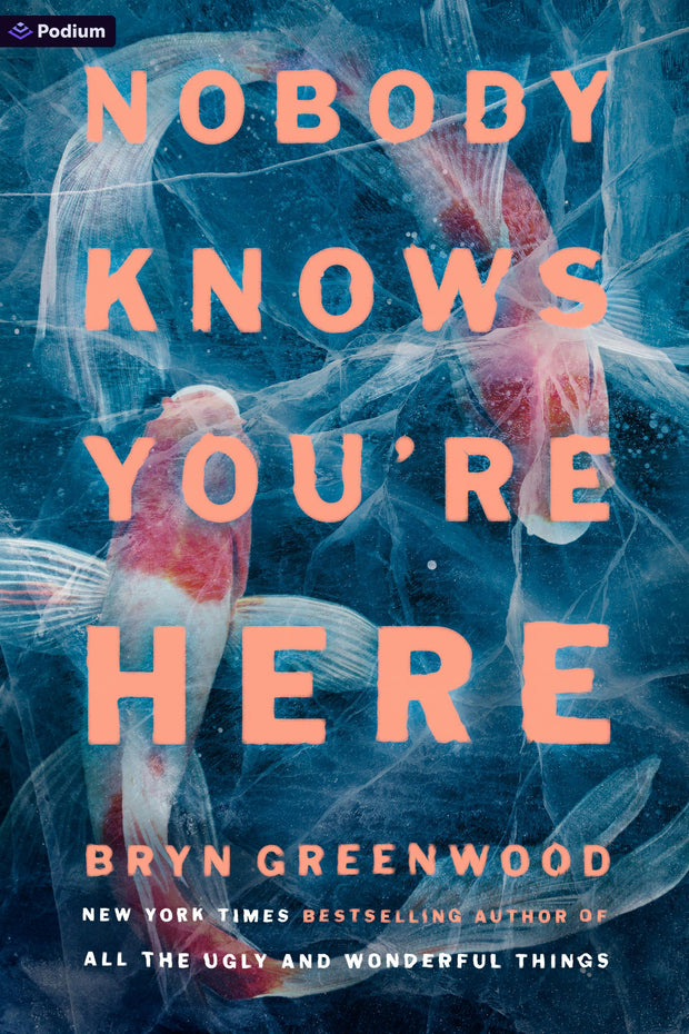 Cover image for Nobody Knows You're Here, isbn: 9798895392003