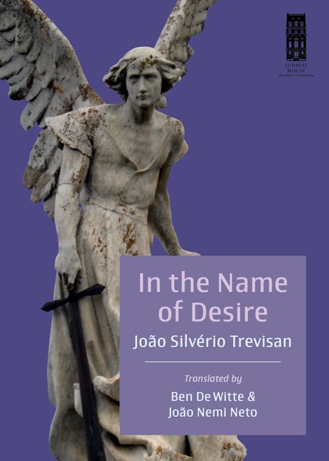 Book cover image for In the Name of Desire ISBN: 9798987926413