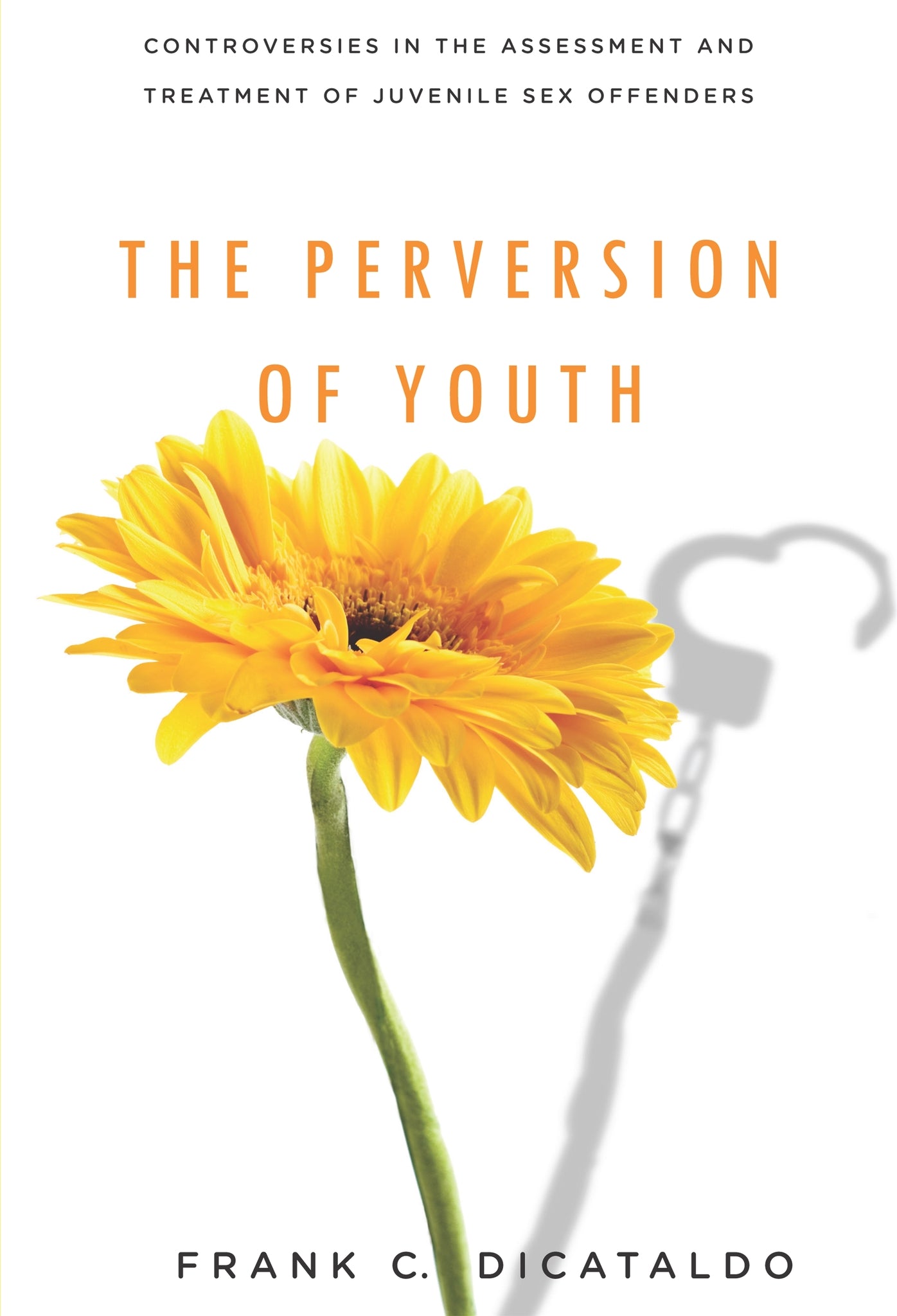 Cover image for The Perversion of Youth ISBN 9780814720028