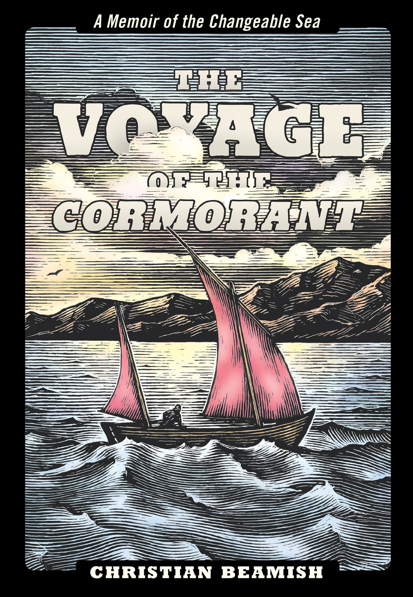 Cover image for The Voyage of the Cormorant ISBN 