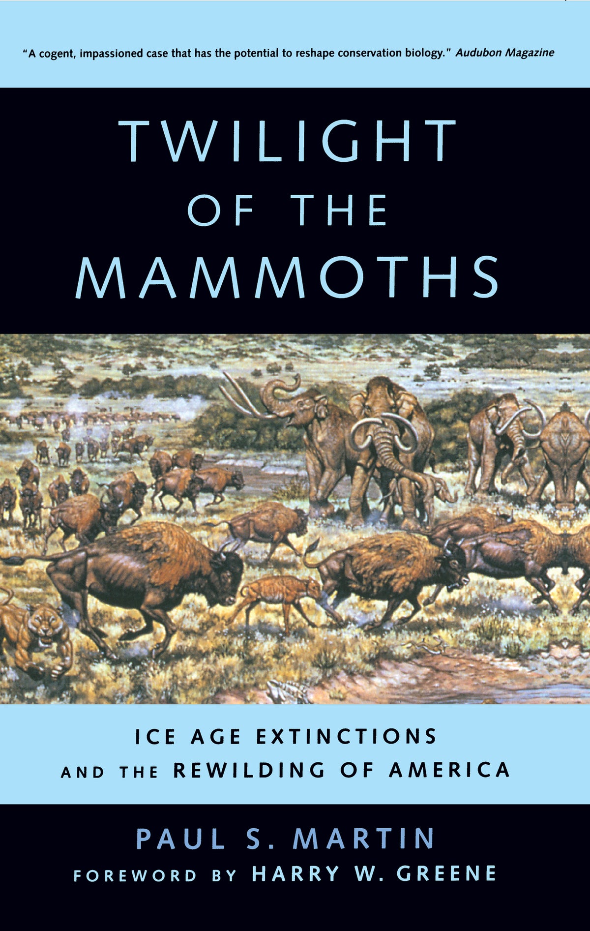 Cover image for Twilight of the Mammoths ISBN 9780520941106