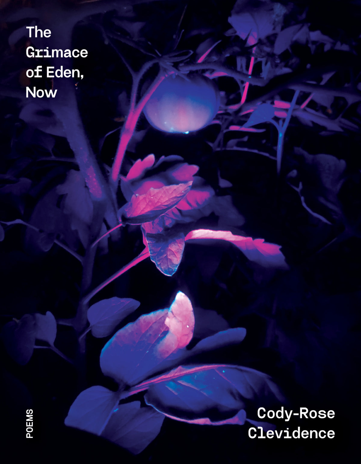 Cover image for The Grimace of Eden, Now ISBN 9781964499376