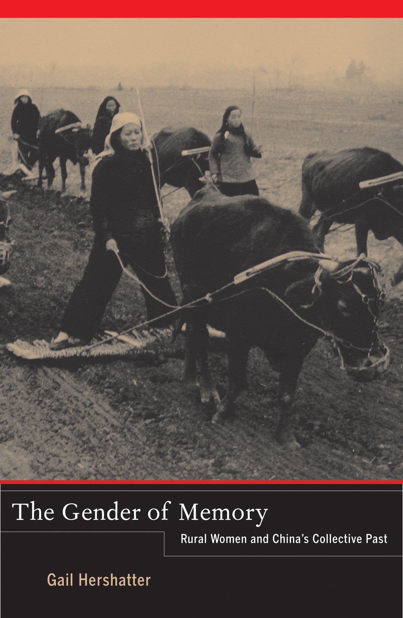 Cover image for The Gender of Memory ISBN 9780520267701
