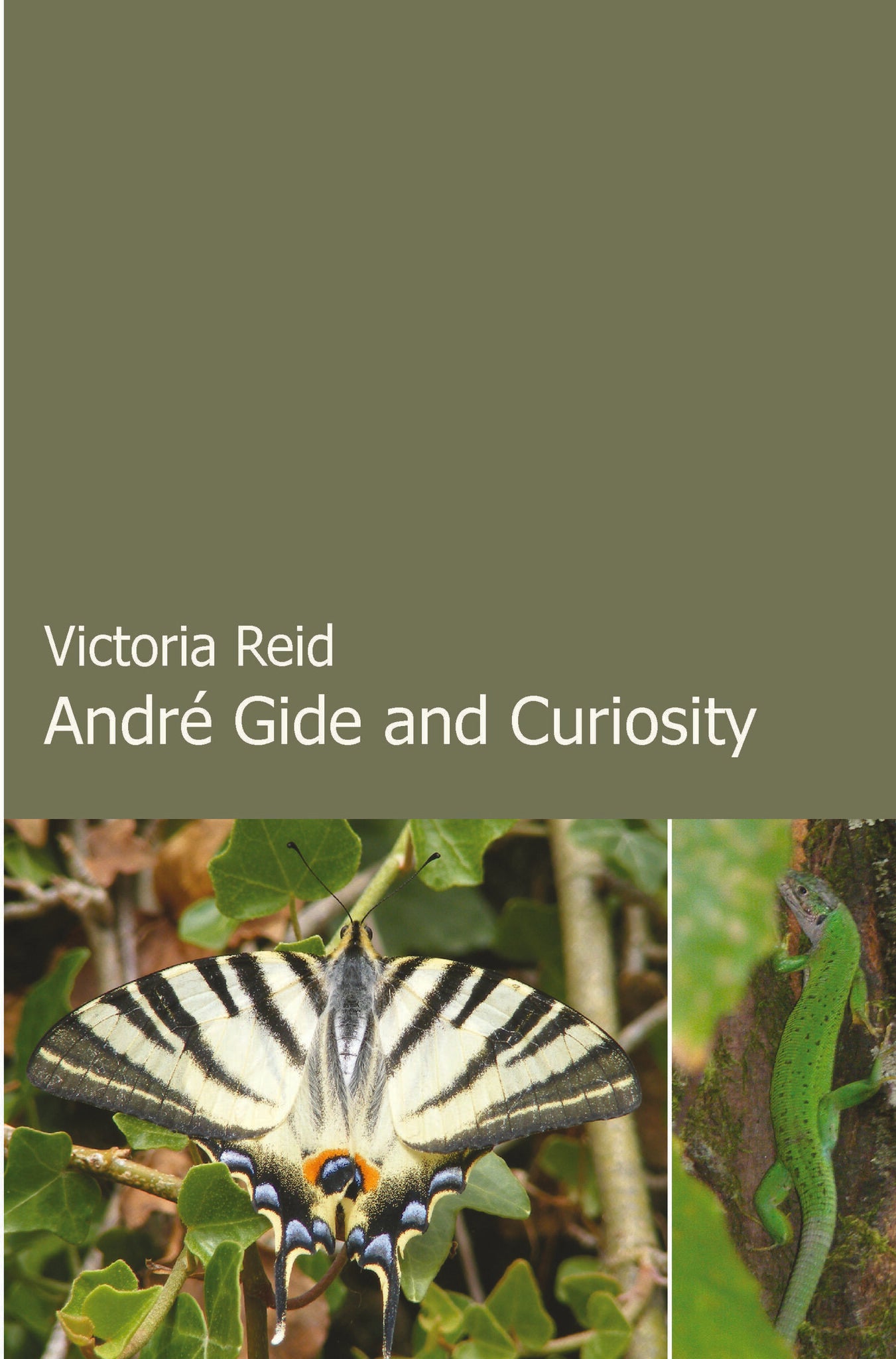 André Gide and Curiosity