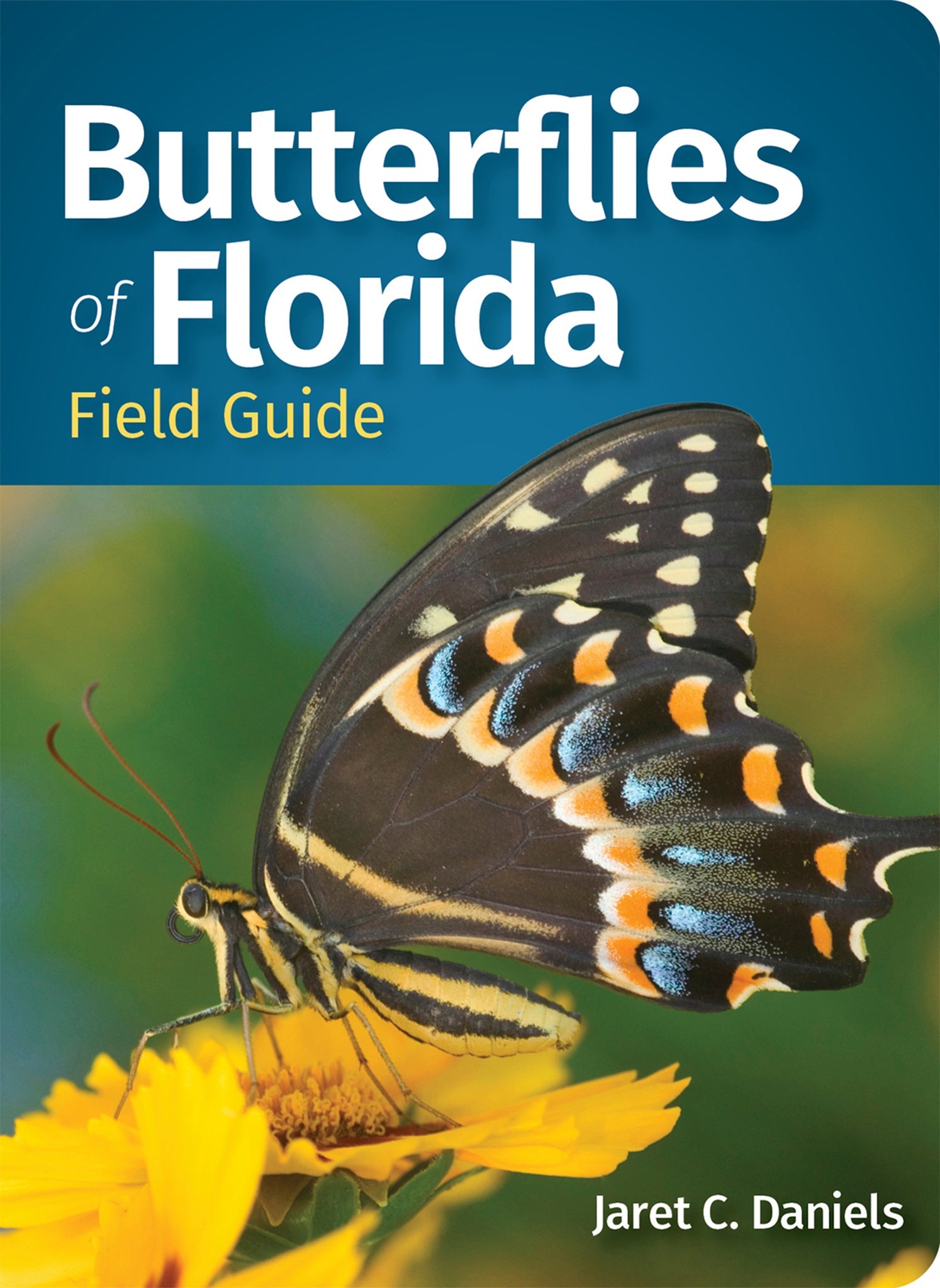 Cover image for Butterflies of Florida Field Guide ISBN 9781647556266