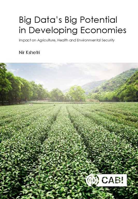 Big Data’s Big Potential in Developing Economies