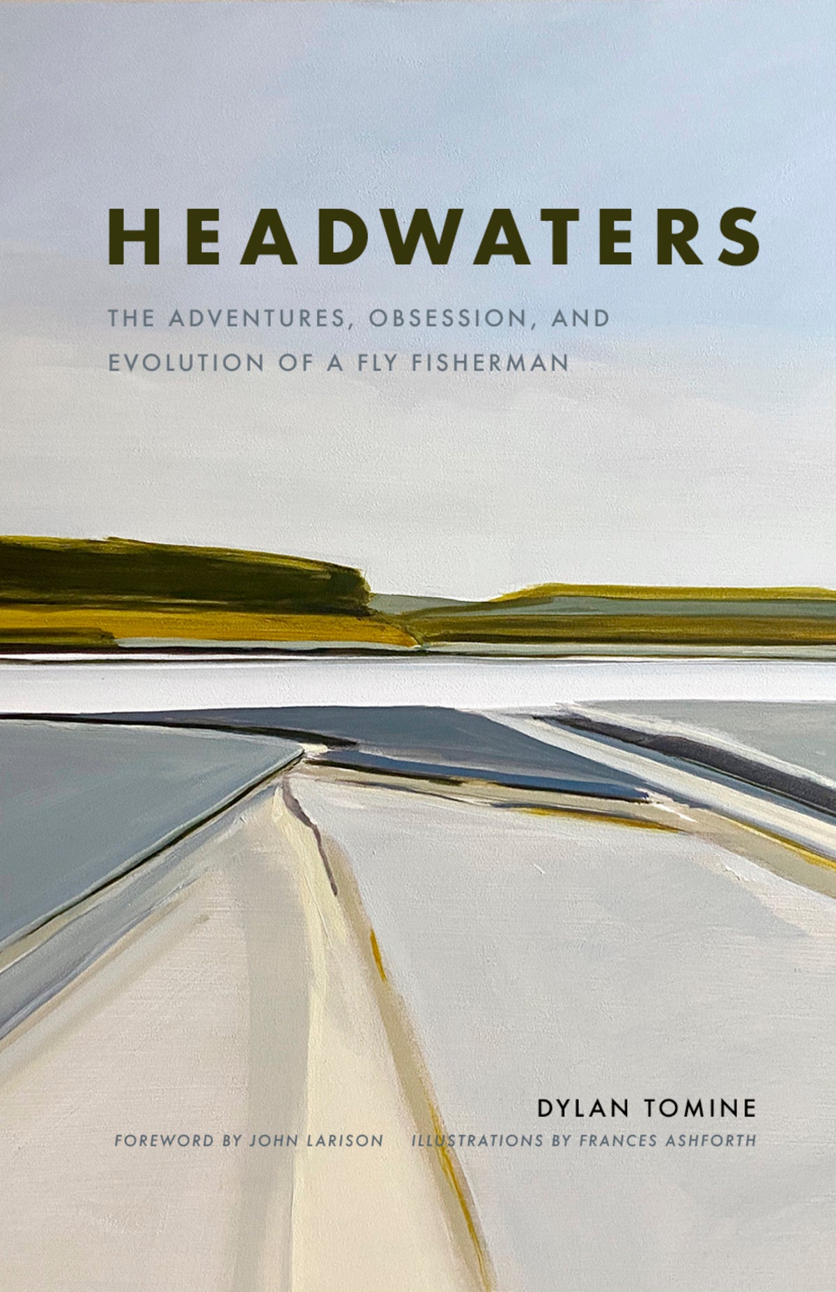 Cover image for Headwaters ISBN 