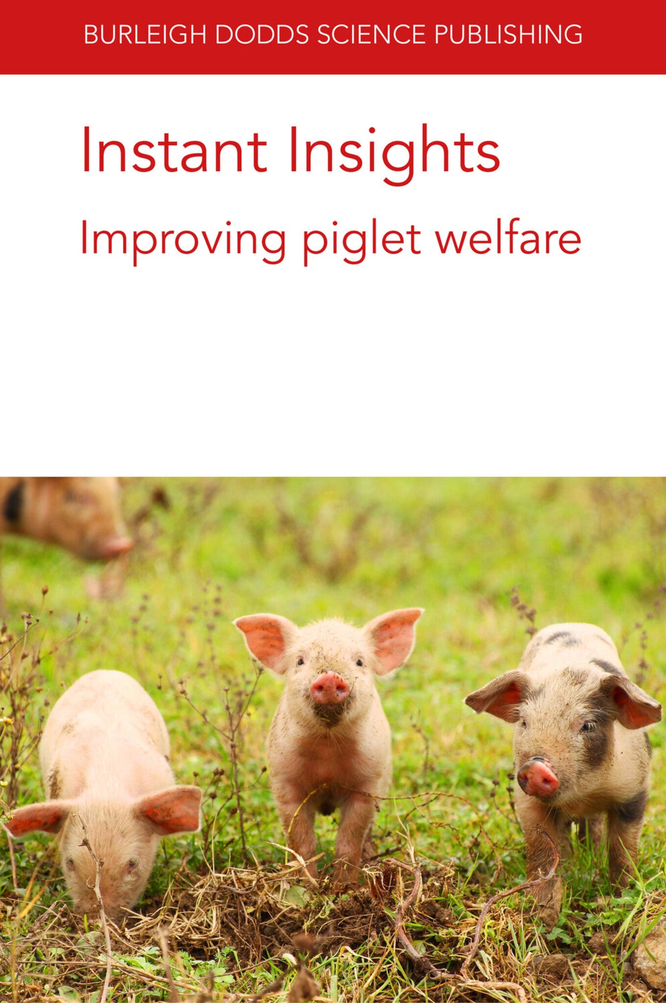 Cover image for Instant Insights: Improving piglet welfare ISBN 9781801460552