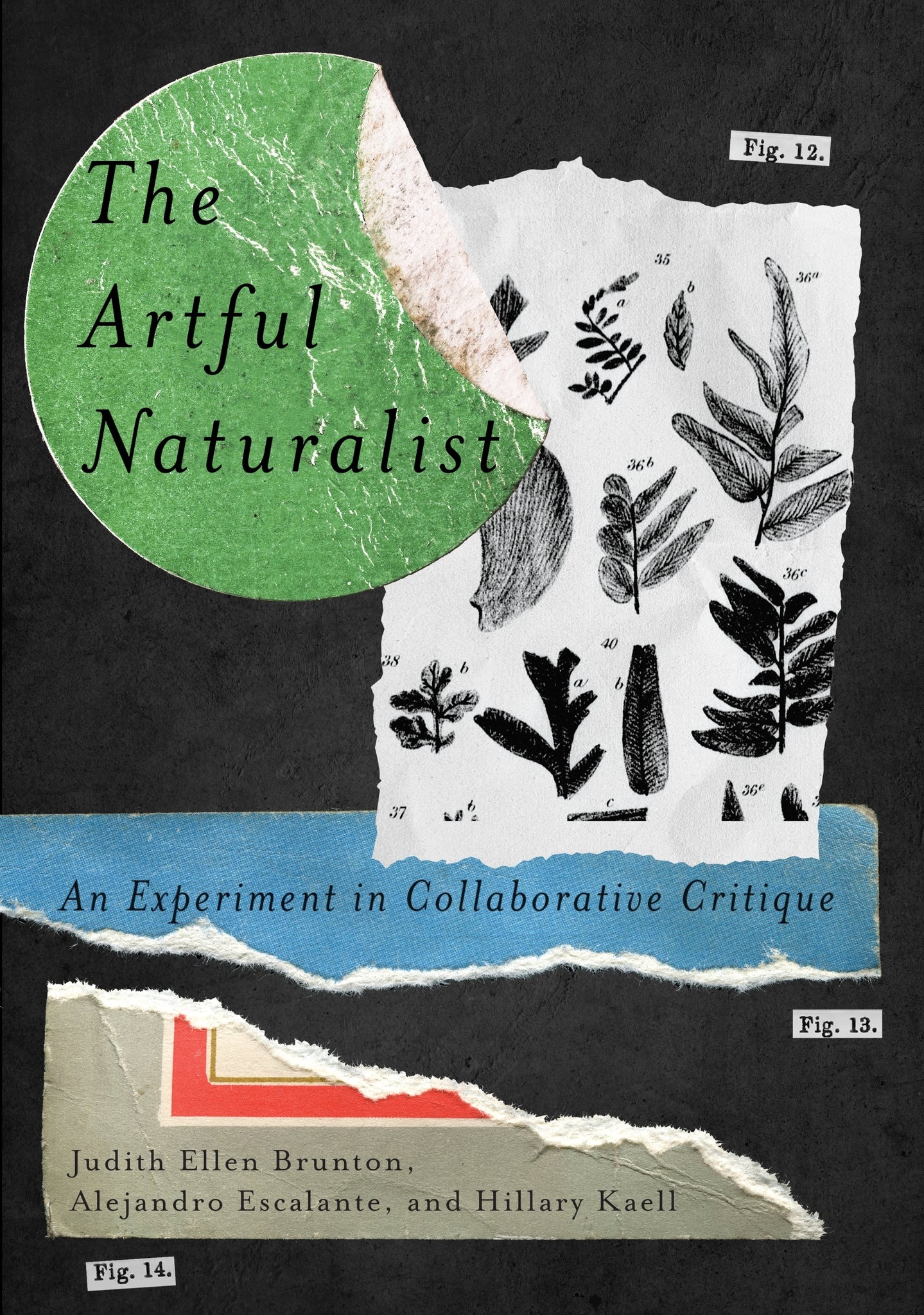 The Artful Naturalist