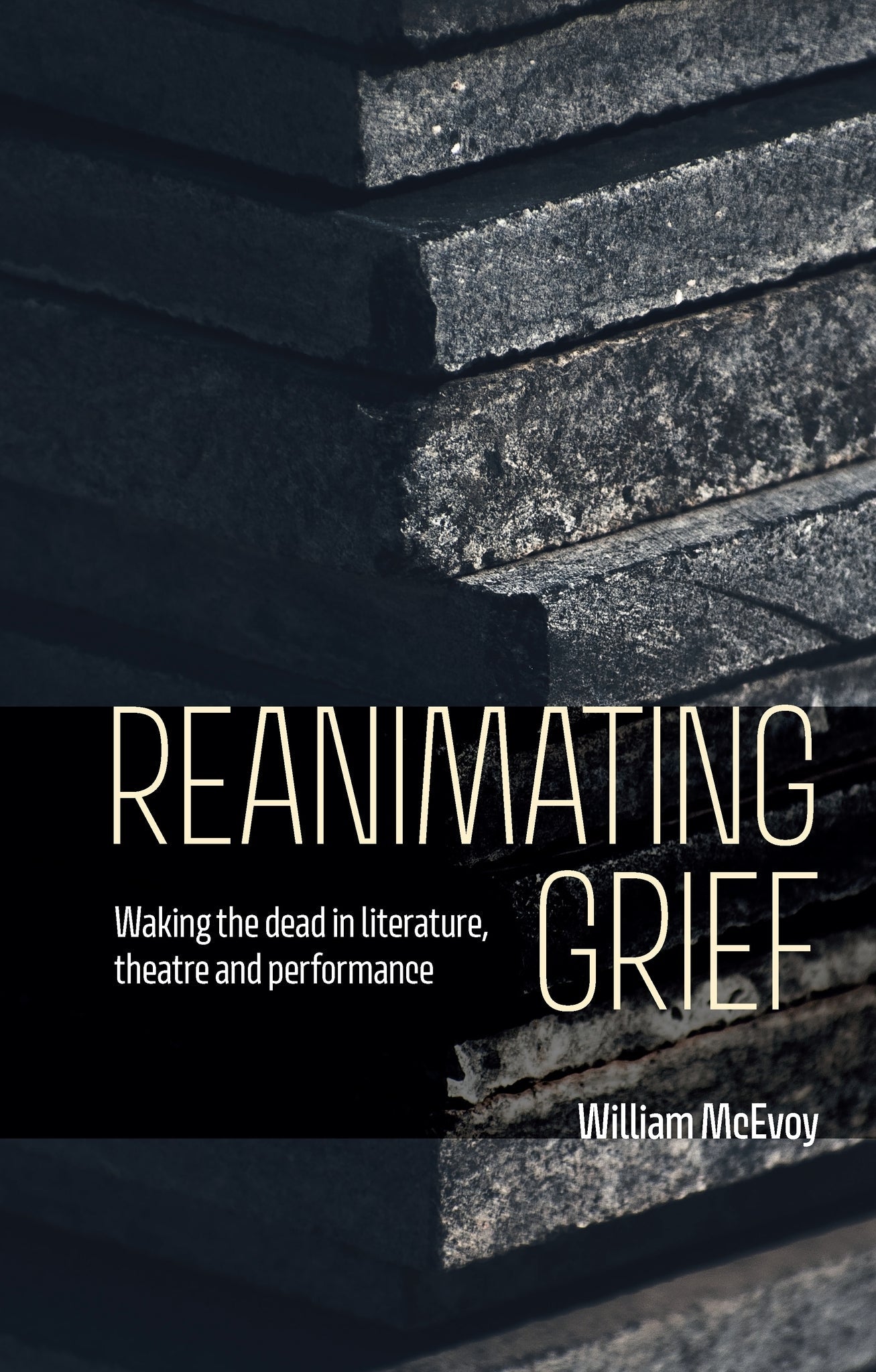 Cover image for Reanimating grief ISBN 9781526194695