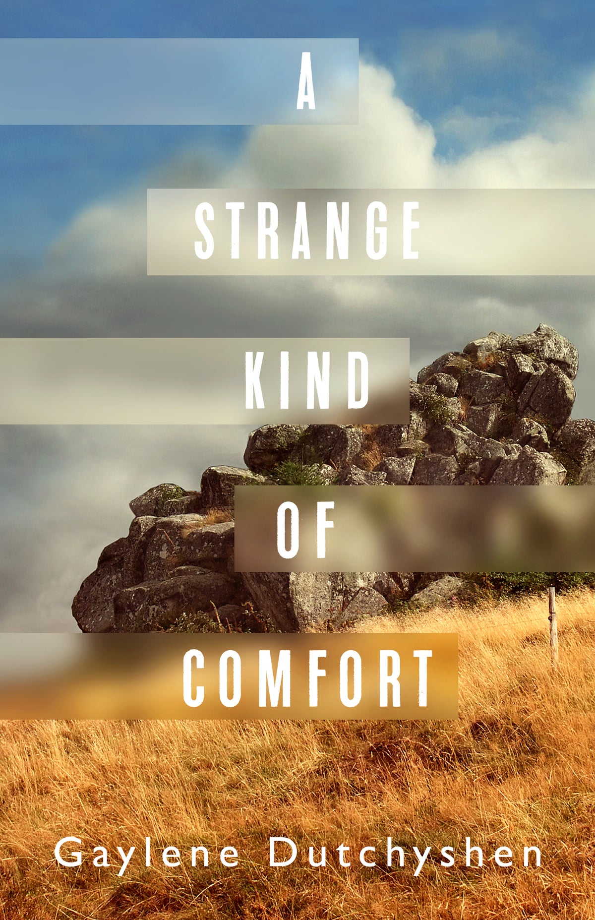Cover image for A Strange Kind of Comfort ISBN 9781459745452