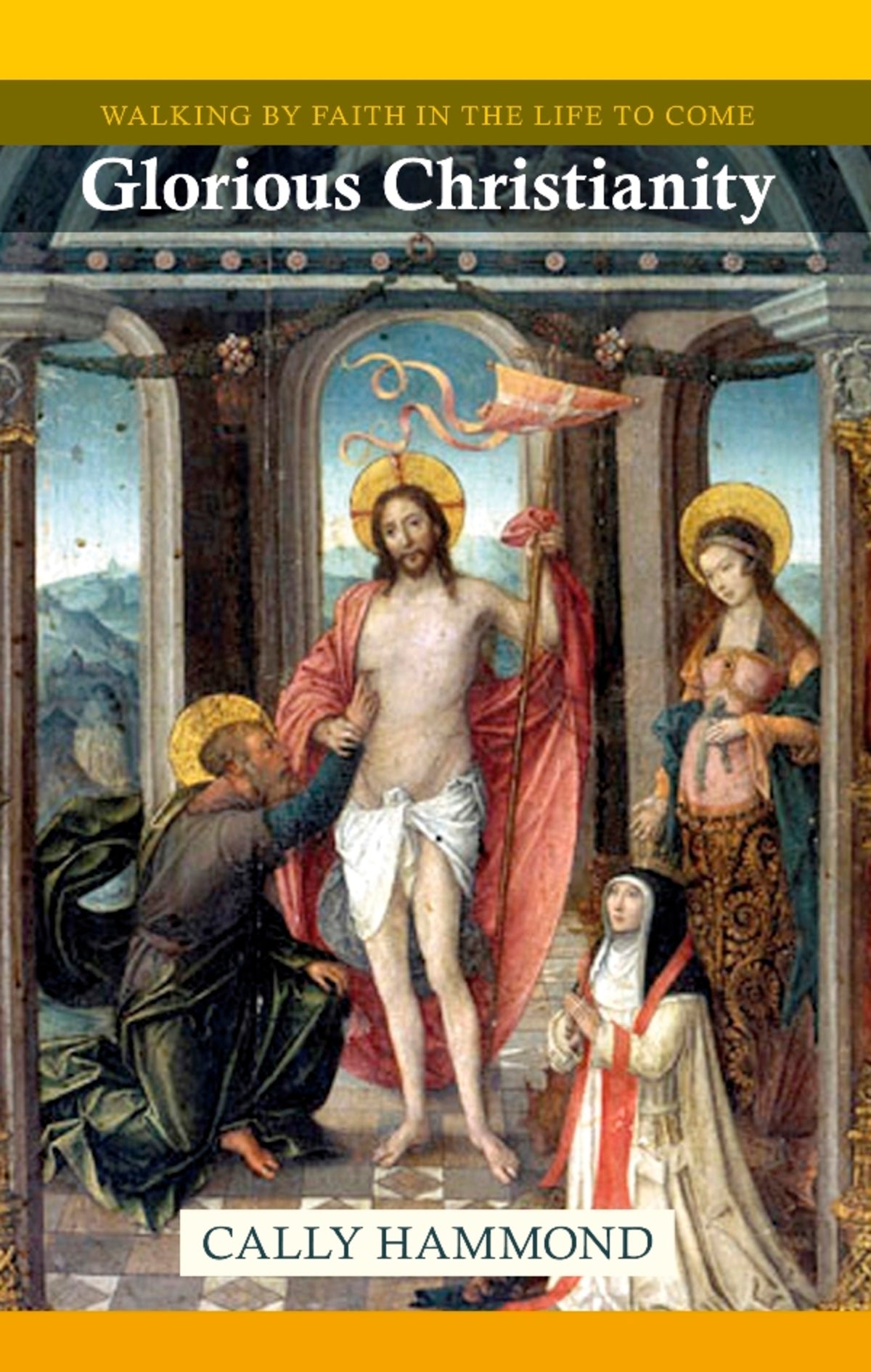 Cover image for Glorious Christianity ISBN 9780281067008