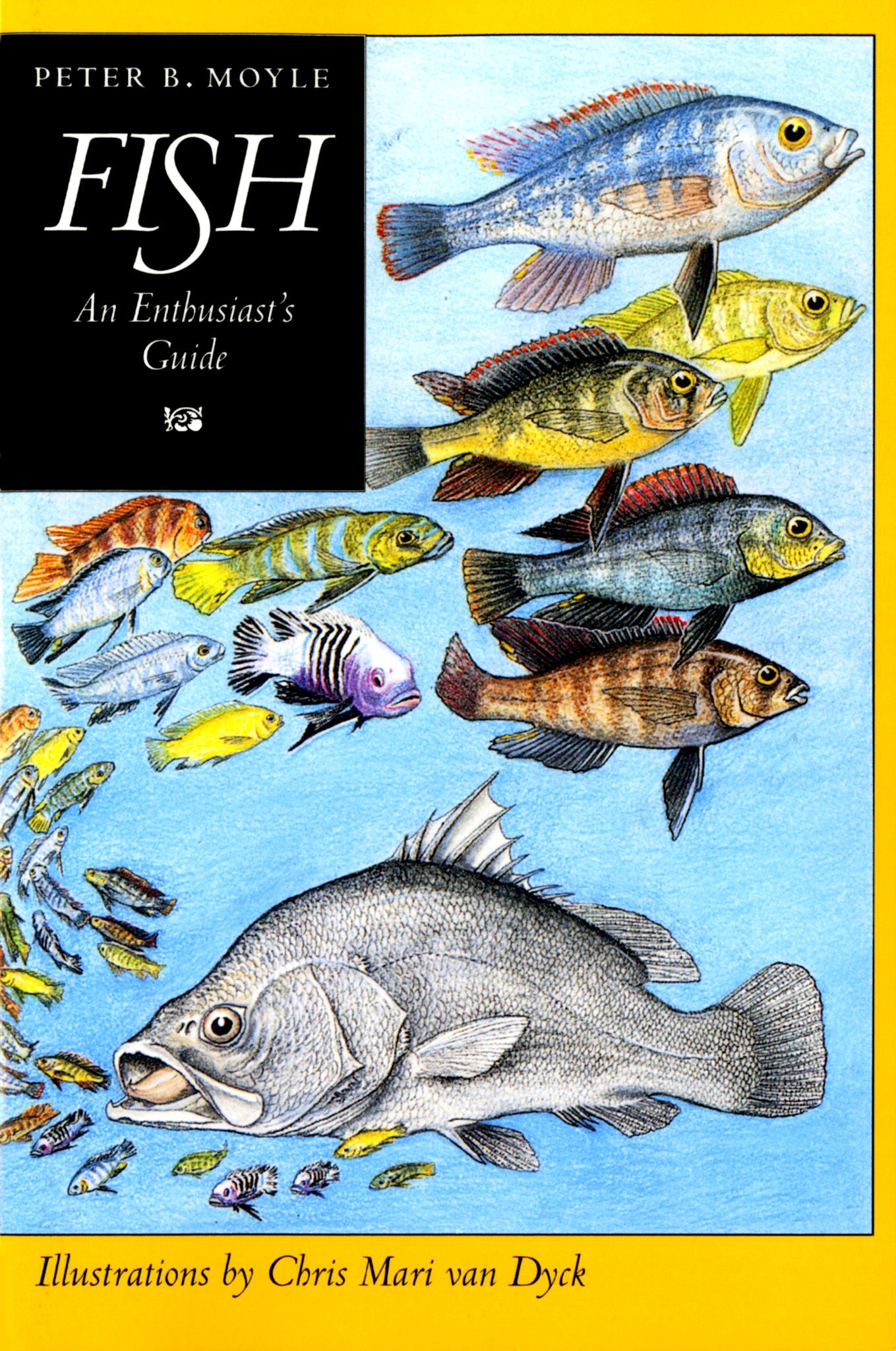 Cover image for Fish ISBN 9780520916654