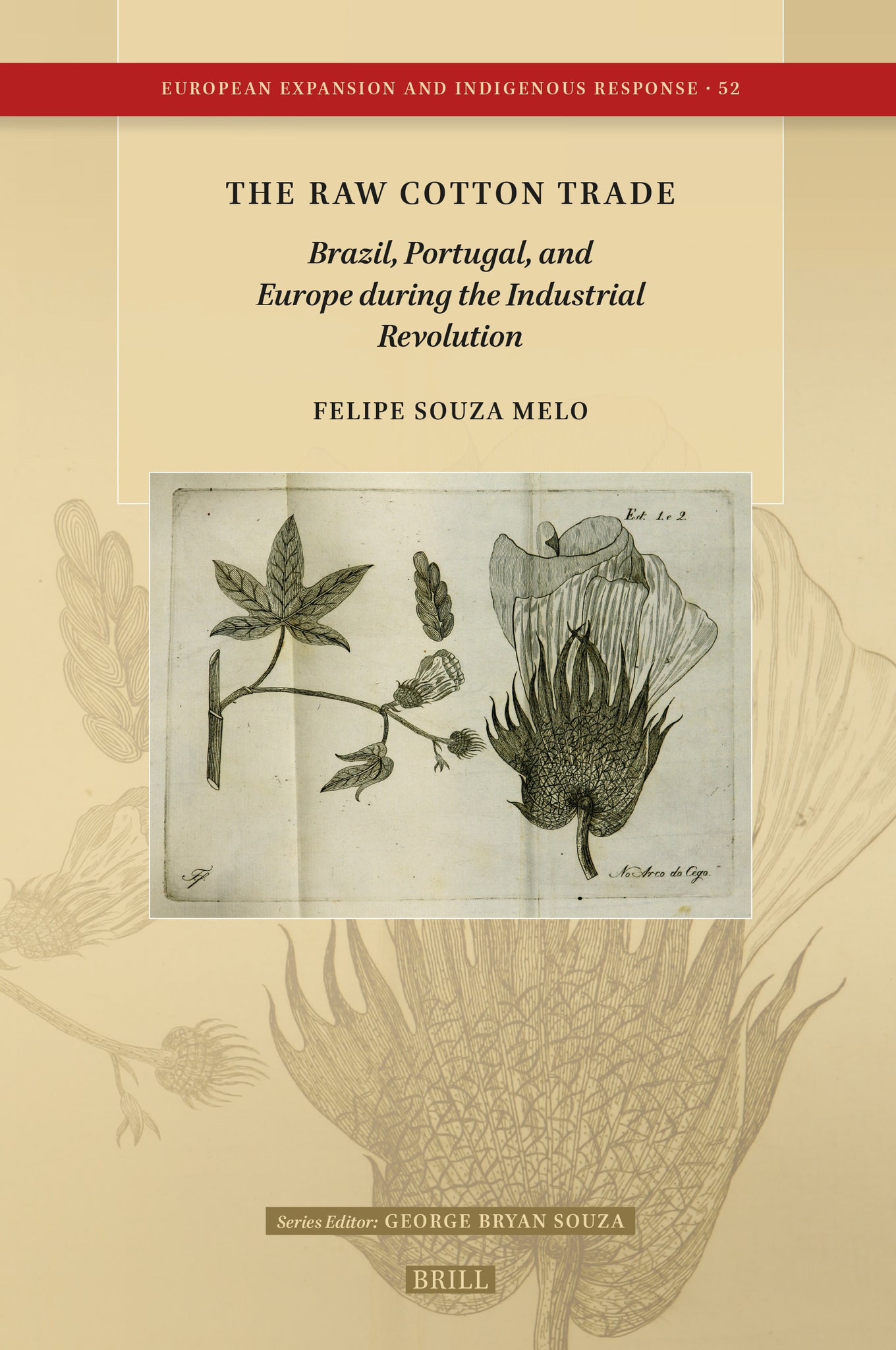 The Raw Cotton Trade: Brazil, Portugal, and Europe during the Industrial Revolution