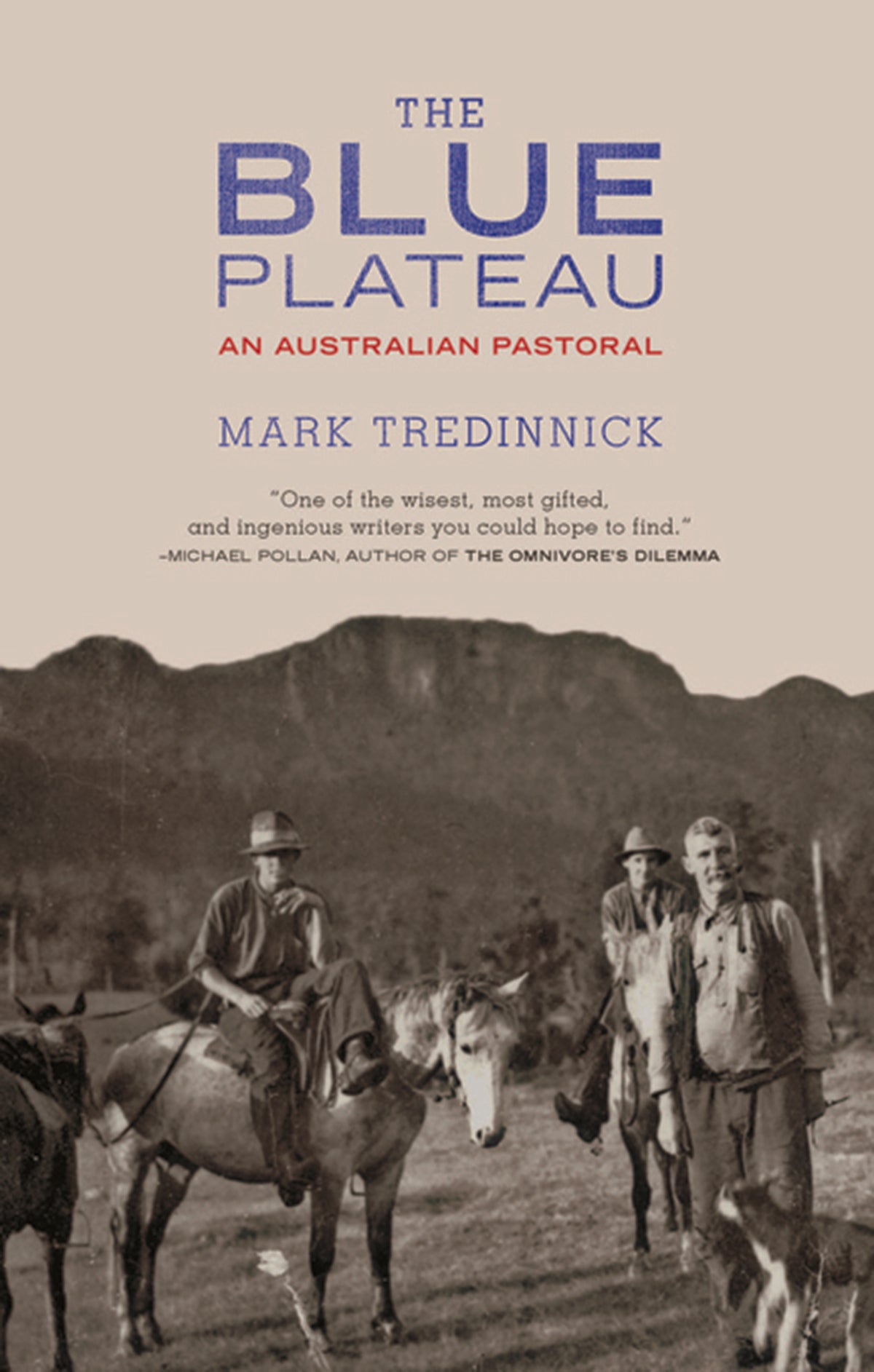 Cover image for The Blue Plateau ISBN 9781571313201