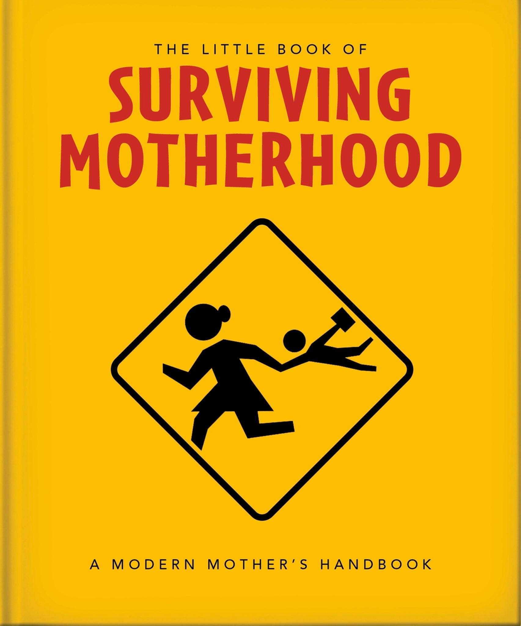 Cover image for The Little Book of Surviving Motherhood ISBN 9781800695672